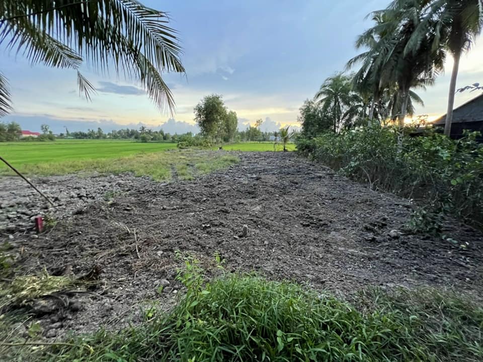 Đất thổ cư 165m² Mỹ Thạnh Đông, Đức Huệ - Giá 700 triệu - Đường ô tô vào tận nơi!