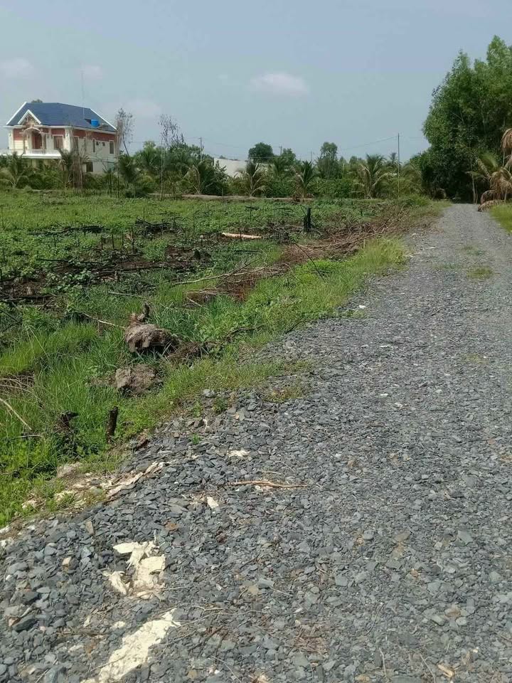 Đất vườn Hòa Khánh Đông 600m² giá 1.75 tỷ - Cơ hội đầu tư tuyệt vời!