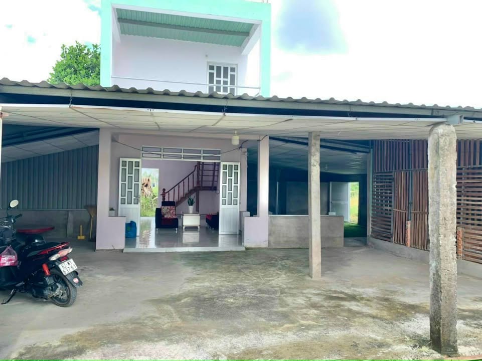 Đất nền 500m² tại Ấp 3 Lạc Tấn, Tân Trụ - Sổ hồng chính chủ, giá chỉ 1.38 tỷ!