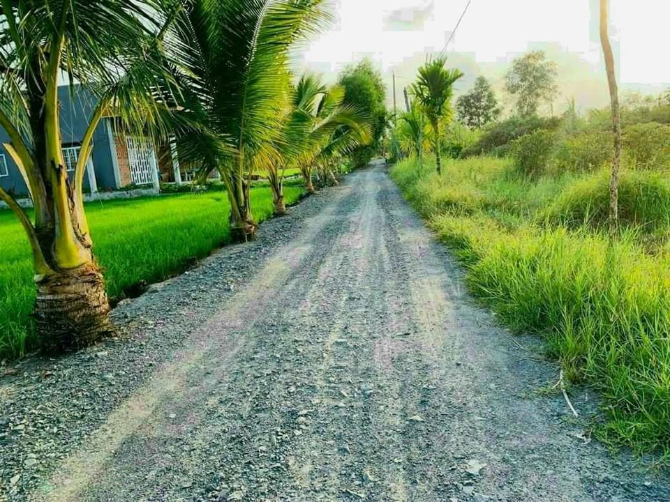 Đất nền 125m² tại Hựu Thạnh, Đức Hòa - Giá 980 triệu - Sổ riêng, thổ cư 100%!