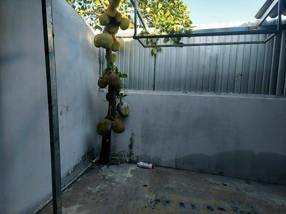 Nhà đẹp Nhựt Chánh Bến Lức 154m² giá 850 triệu - Bán gấp, đầu tư sinh lời!