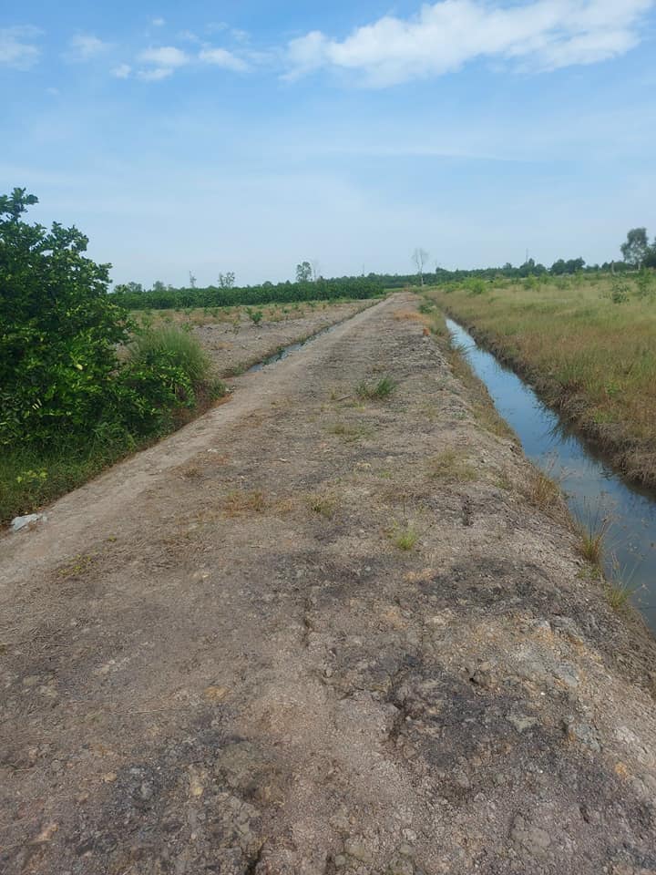 Đất nền 2581m² tại Tân Thành, Thủ Thừa chỉ 1.15 tỷ - Đầu tư sinh lời ngay!