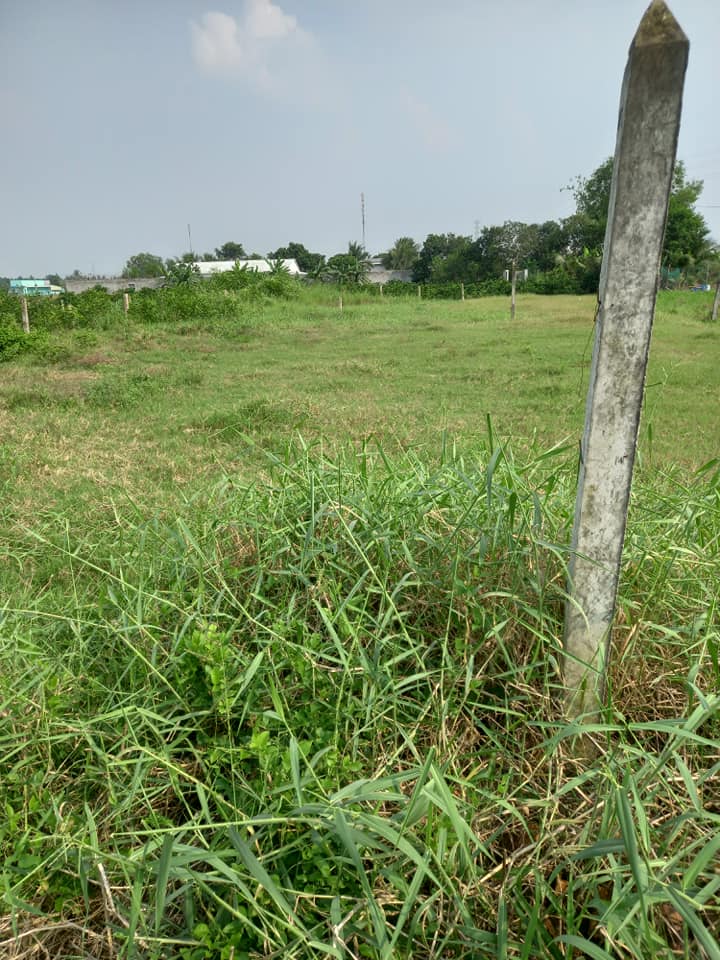 Đất nền ấp 4, xã Thạnh Đức, huyện Bến Lức, Long An - Diện tích 250m² giá chỉ 1.5 tỷ - Cơ hội đầu tư tuyệt vời!