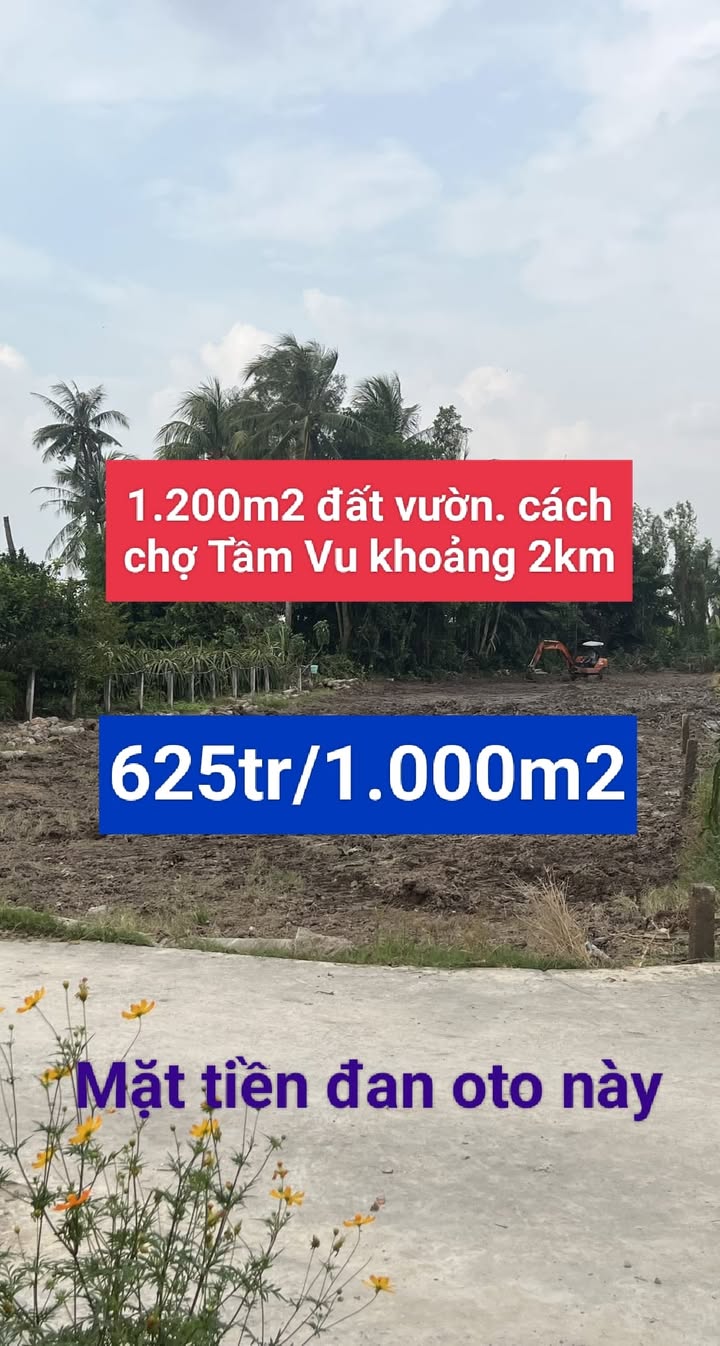 Đất vườn 1200m² xã Hiệp Thạnh, Châu Thành, Long An - Giá chỉ 625 triệu!