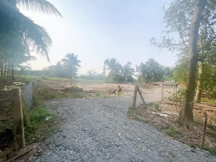 Đất vườn Nhựt Chánh, Bến Lức 970m² giá chỉ 820 triệu - Cơ hội vàng cho nhà đầu tư!