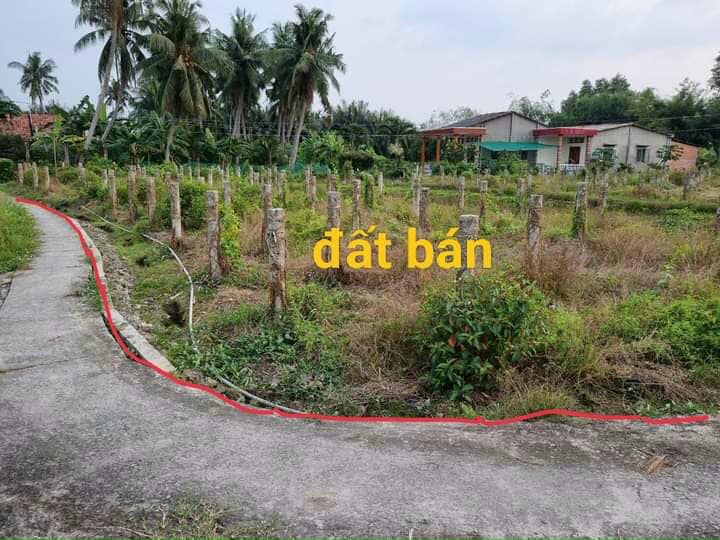 Đất lúa 2000m² xã Phú Ngãi Trị, Châu Thành - Giá chỉ 400 triệu!