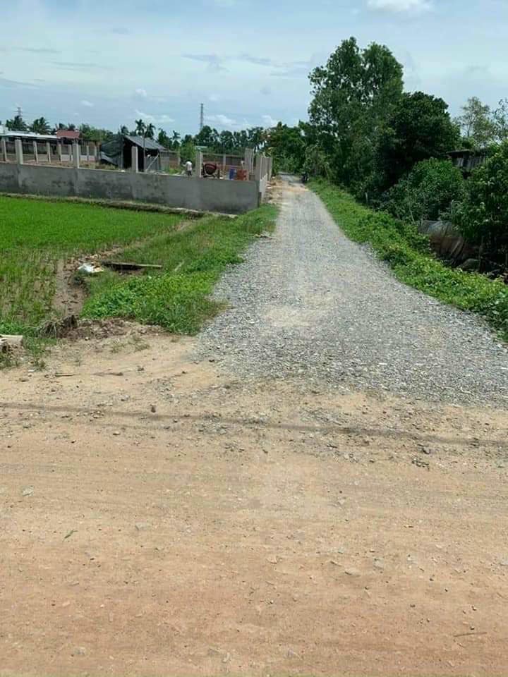 Đất nền 720m² mặt tiền đường Quách Văn Tuấn, Tân An - Giá chỉ 2.1 tỷ, thích hợp nghỉ dưỡng!