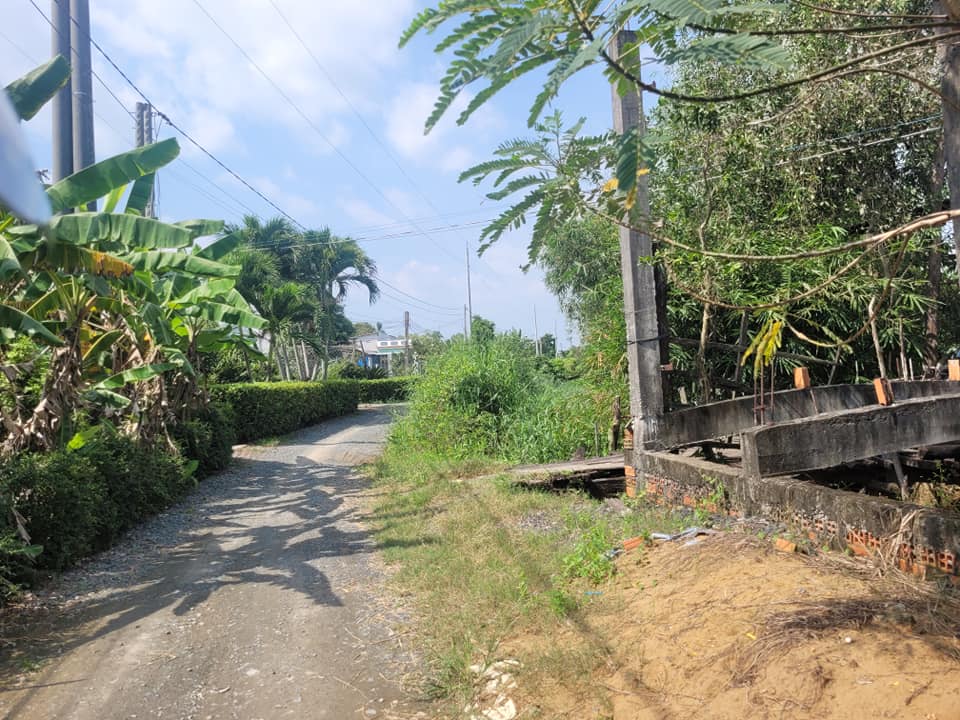 Đất lúa 756m² đường xe hơi tại xã Phước Tuy, Cần Đước - Giá chỉ 1,1 tỷ VND!