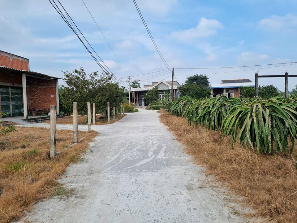 Đất vườn 12000m² Hiệp Thạnh, Châu Thành, Long An - Giá 750 triệu, sổ hồng chính chủ!