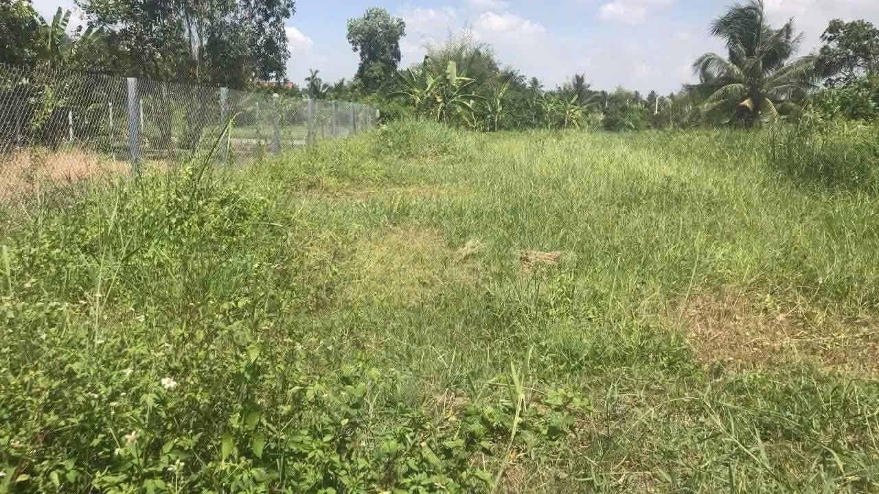 Bán đất vườn 500m² hẻm Hoàng Anh, Tân Khánh - Giá chỉ 950 triệu!