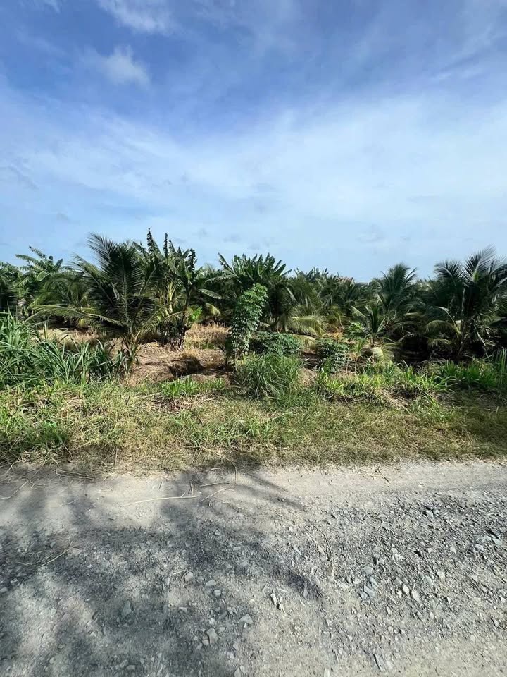 Đất nền An Lục Long 187m² giá 350 triệu - Đầu tư sinh lời cao!