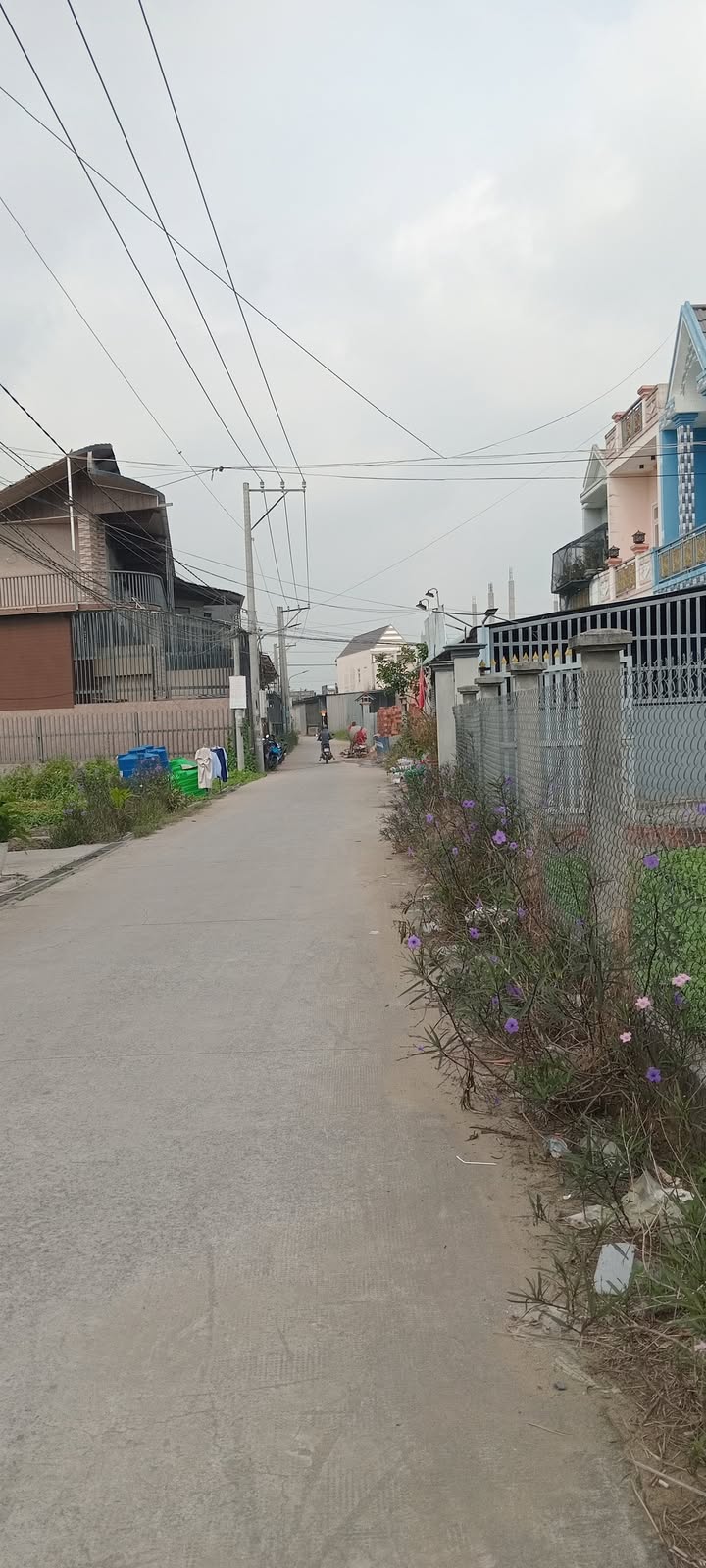 Đất thổ cư Long Trạch Cần Đước 93m² giá 850 triệu - Gần chợ và trường học!