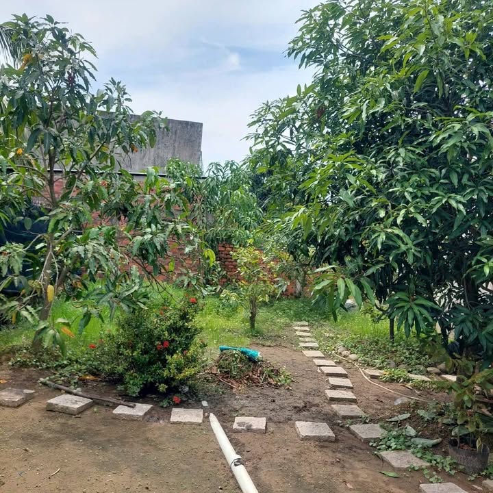 Nhà phố 252m² đường Nguyễn Thị Hạnh, Tân An - Giá chỉ 2.8 tỷ đồng, thương lượng ngay!