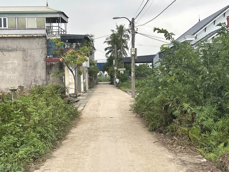 Nhà vườn Hợp Đức Đồ Sơn 844m² giá 4 tỷ - Đường ô tô vào tận nơi!