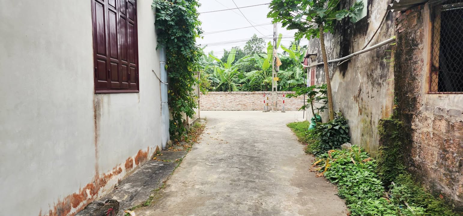 Đất nền chính chủ Trừng Xá, Lương Tài 102m² giá chỉ 1.x tỷ - Sổ đỏ sẵn sàng!