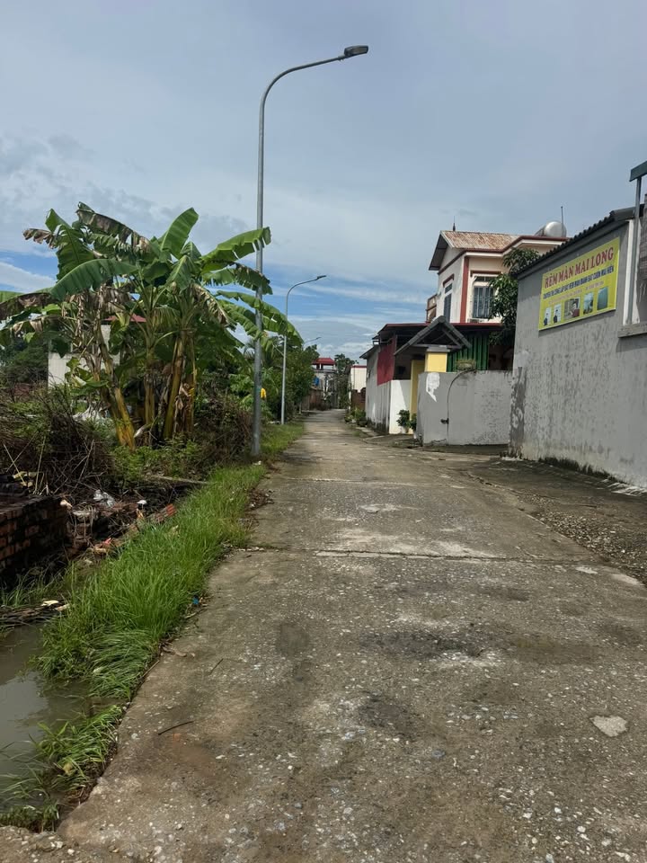 Đất Lạc Xá - Quế Tân 125m² giá thỏa thuận - Cơ hội đầu tư sinh lời!