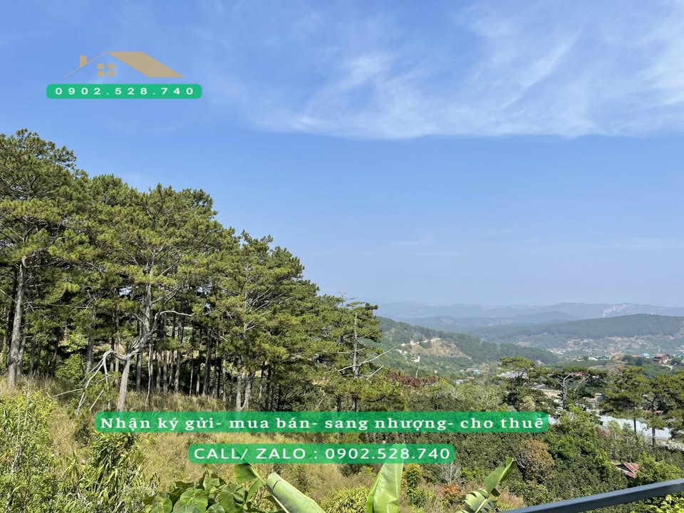 Đất Đỉnh Đồi Săn Mây Xuân Trường Đà Lạt 7500m² giá 19 tỷ - Cơ hội đầu tư tuyệt vời!