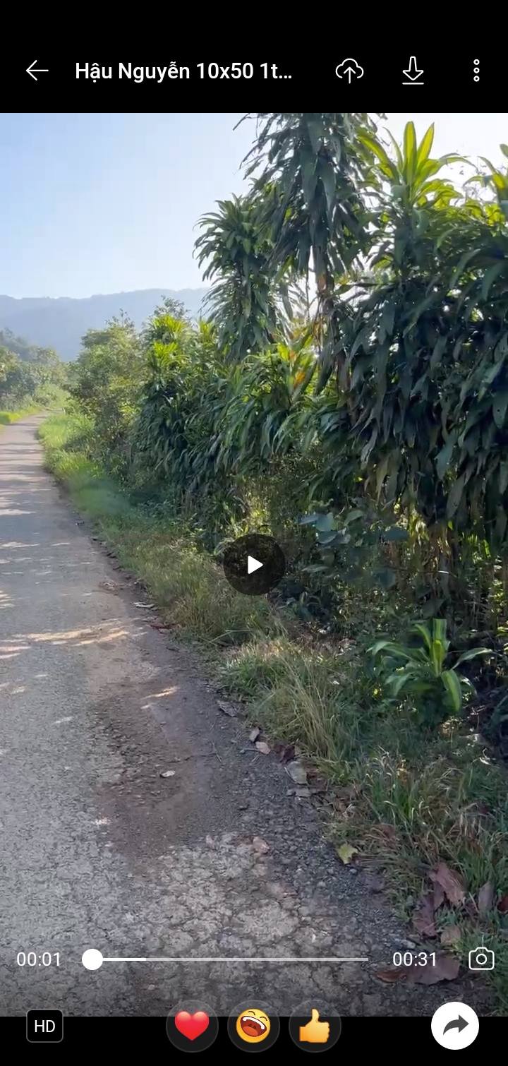 Đất thổ cư 500m² mặt tiền nhựa tại Phường 3 Bảo Lộc - Giá chỉ 1.1 tỷ!