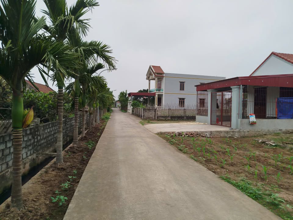 Đất thổ cư xóm 5 Nam Điền 192m² giá 1 tỷ - Vị trí đẹp, đầu tư sinh lời!