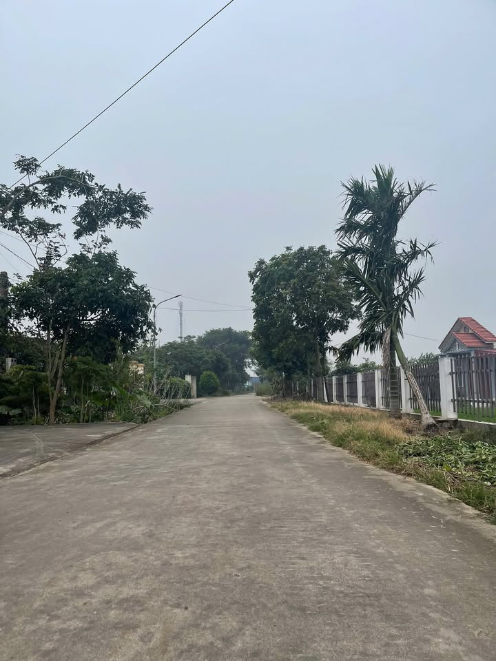 Đất nền lô góc Đê 58, Xóm 8 Nam Điền 151m² - Sổ đỏ chính chủ giá chỉ 1 tỷ!