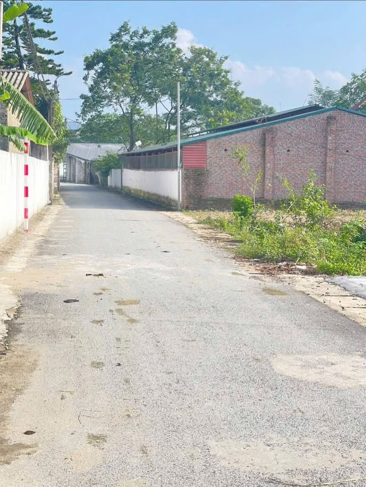 Đất nền Mới Thanh Vân, 160m², Giá chỉ 1.5 tỷ - Đầu tư sinh lời ngay!