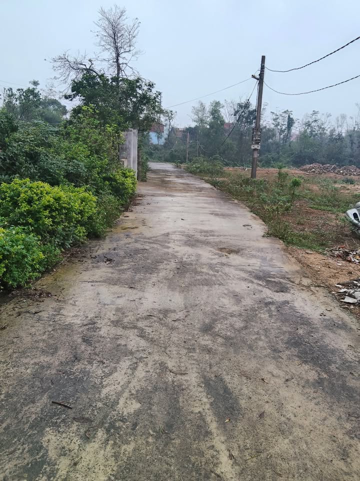 Đất nền Cẩm Nhượng, Cẩm Xuyên 140m² giá 1 tỷ - Đầu tư sinh lời nhanh!