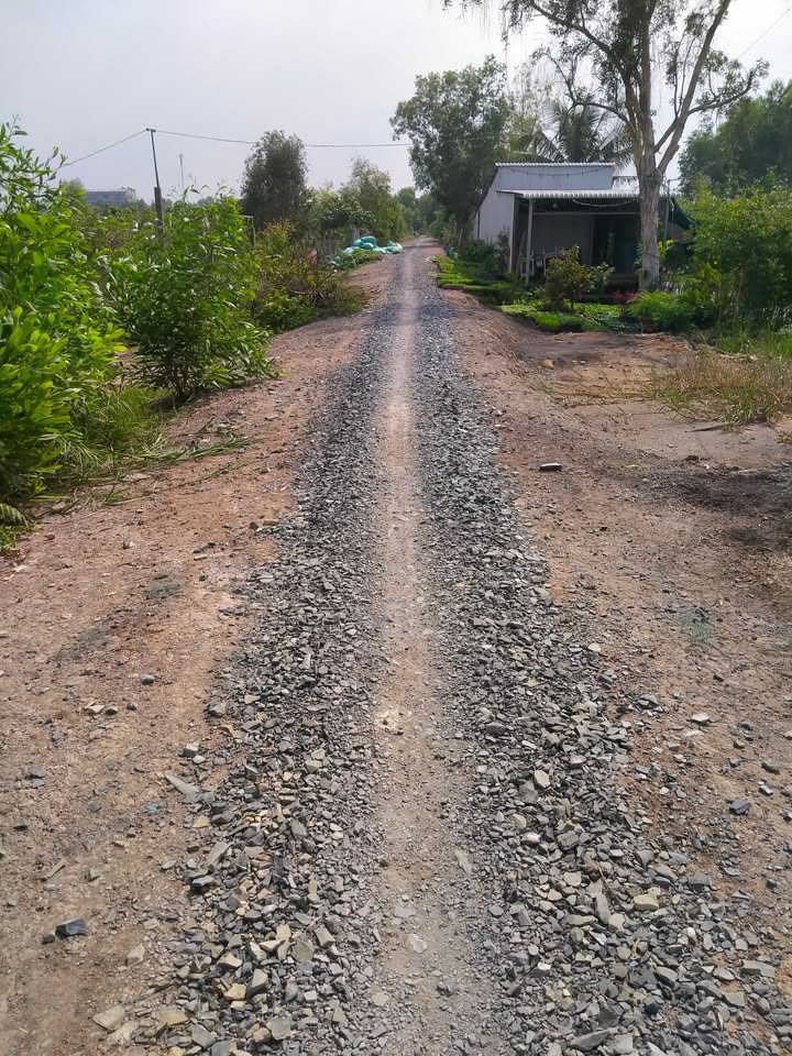 Đất mặt tiền đường Đá Xanh xã Tân Phước 1650m² giá 1.8 tỷ - Cơ hội đầu tư tuyệt vời!