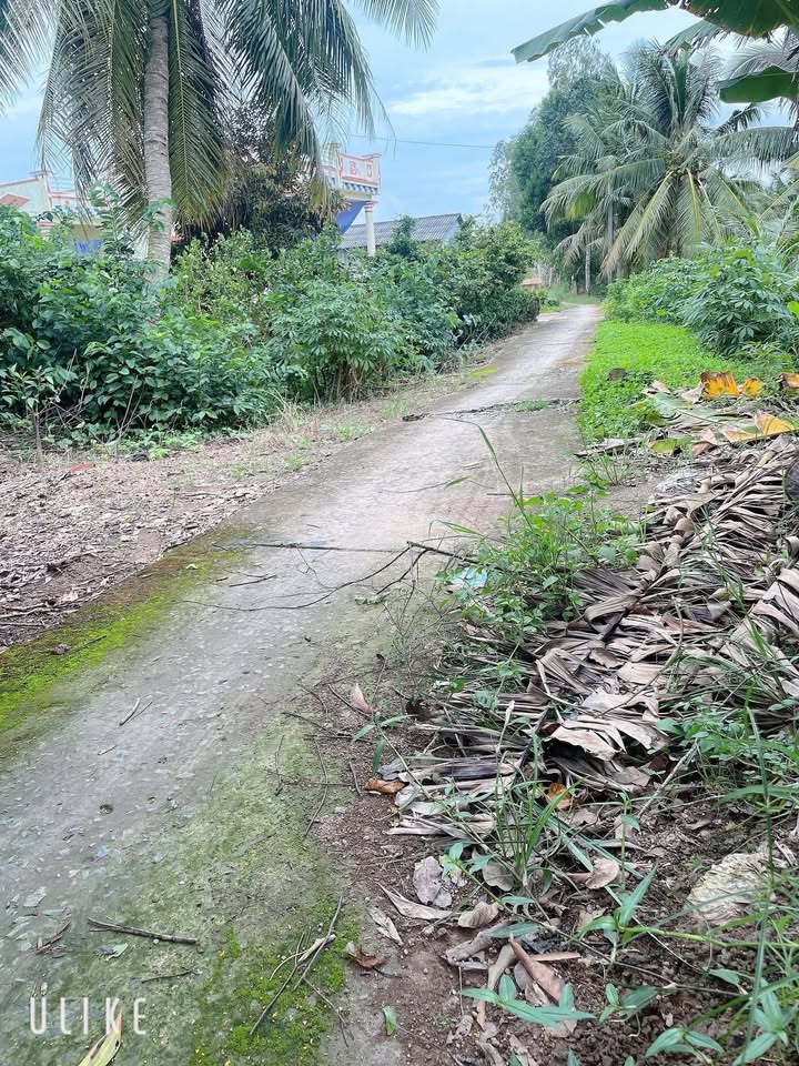 Đất nền thổ cư Phường Láng Tròn 297m² giá 2.835 tỷ - Cơ hội đầu tư hấp dẫn!