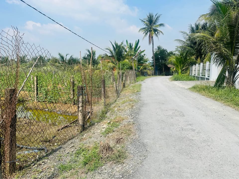 Đất mặt tiền cầu Đình Song Thạnh 2000m² giá 1.8 tỷ - Đầu tư sinh lời ngay!