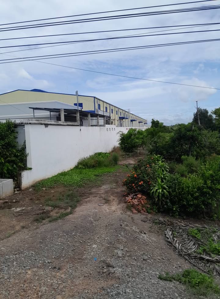 Đất thổ cư Tân Phước, Gò Công Đông 12.424m² - Vị trí gần khu công nghiệp