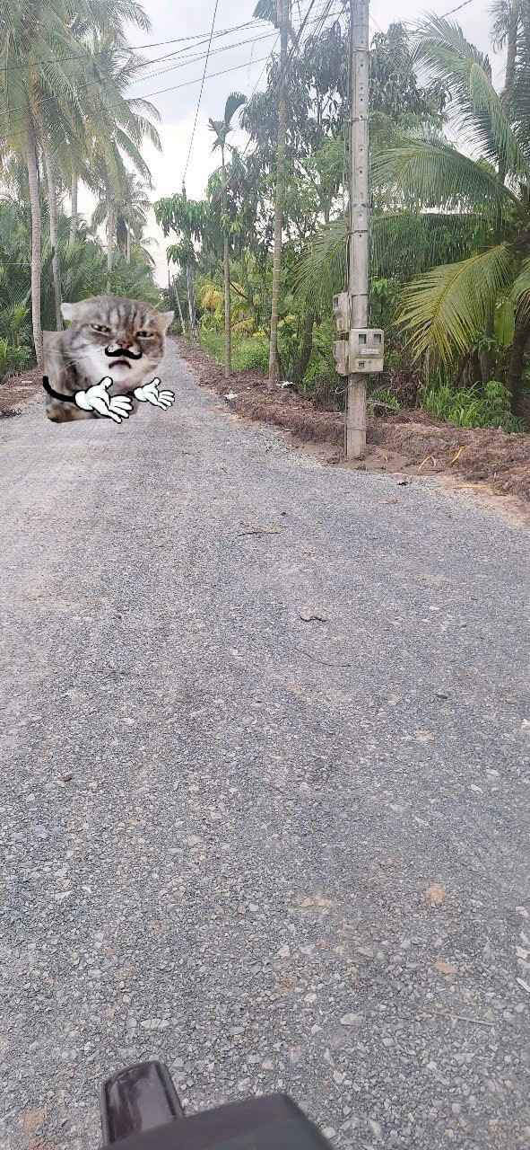 Đất nền Lương Hòa, Giồng Trôm 719m² giá 1 tỷ - Đường nhựa thông thoáng!