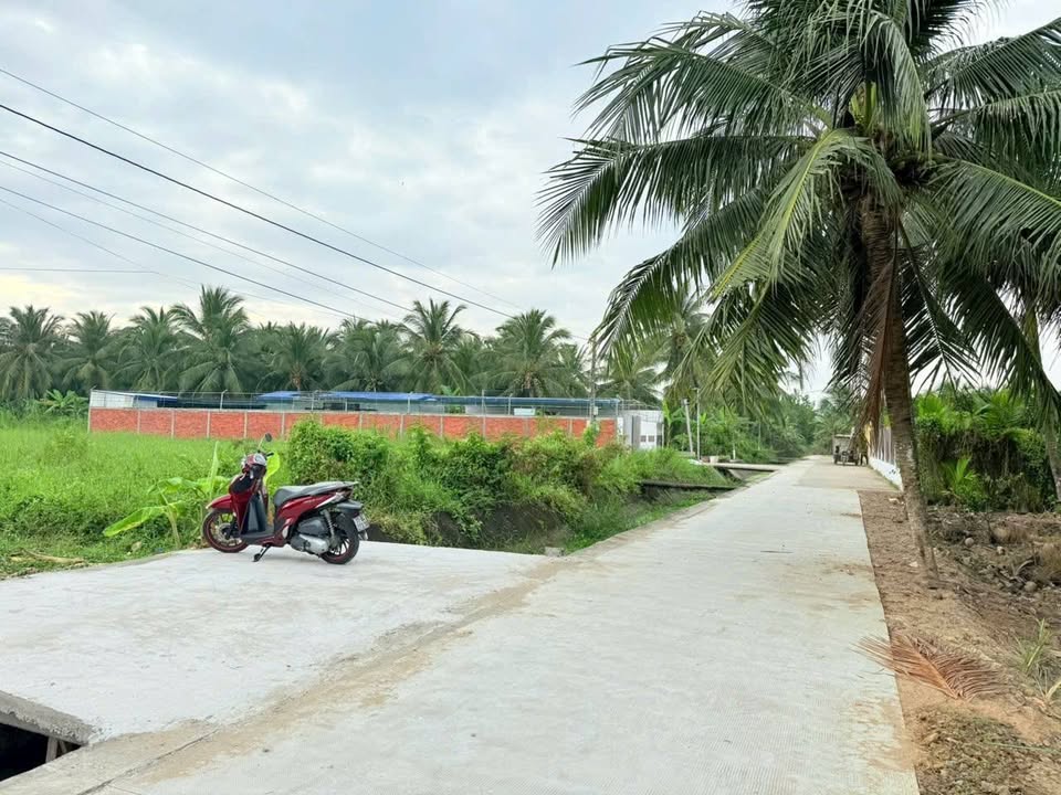 Đất nền mặt tiền kênh Phú Tân 115m² giá 690 triệu - Sổ đỏ chính chủ!