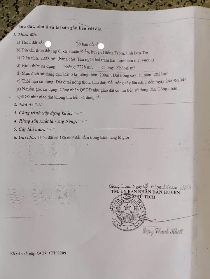 Đất mặt tiền Thuận Điền Giồng Trôm 2228m² giá 2.6 tỷ - Cơ hội đầu tư hiếm có!