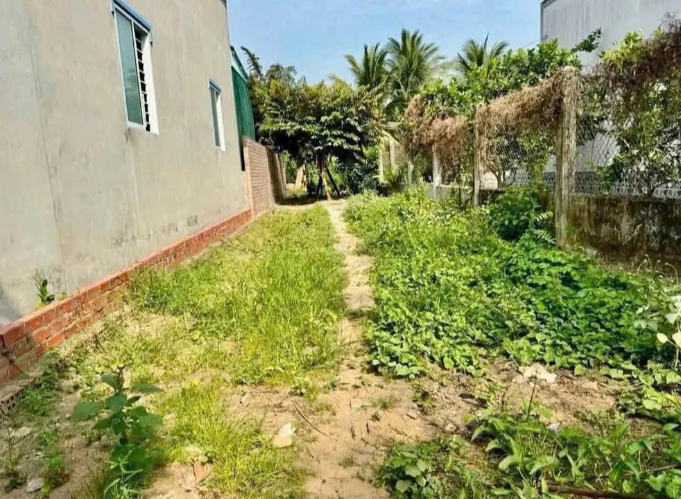 Đất nền Bình Phú - Bến Tre 181.6m² giá chỉ 480 triệu - Cơ hội đầu tư tuyệt vời!