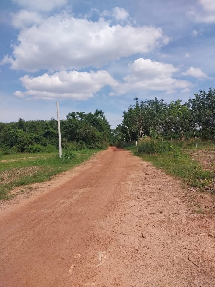 Đất nền An Điền Bến Cát 1490m² giá 1.788 tỷ - Cơ hội đầu tư hấp dẫn!