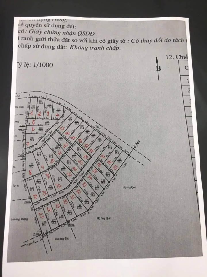 Lô đất góc Bàng La - Đồ Sơn 57m² giá chỉ 600 triệu - Đầu tư sinh lời ngay!