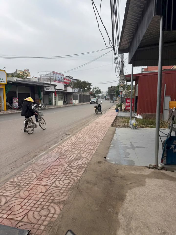 Đất mặt đường trục liên xã Thái Sơn, An Lão 100m² giá chỉ 1.8 tỷ - Sổ hồng chính chủ!