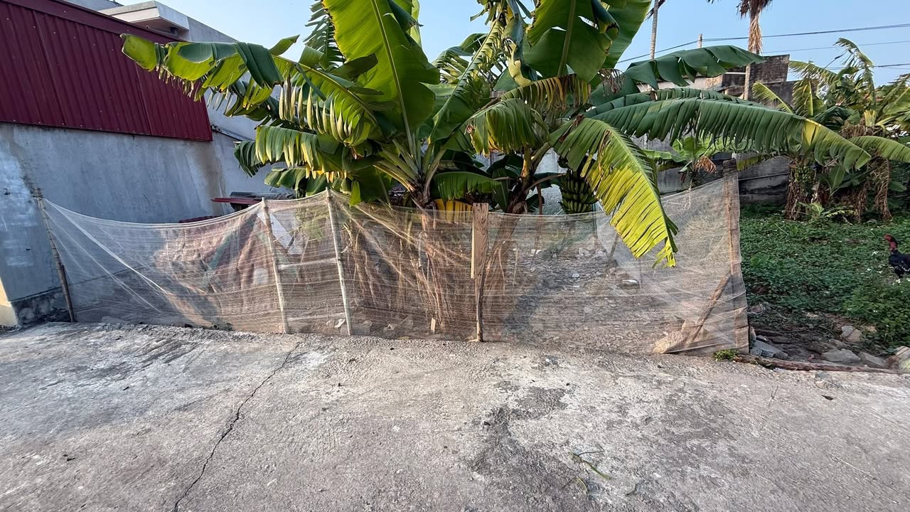 Đất nền Minh Tân Kiến Thụy 62m² giá 900 triệu - Cơ hội đầu tư hấp dẫn!