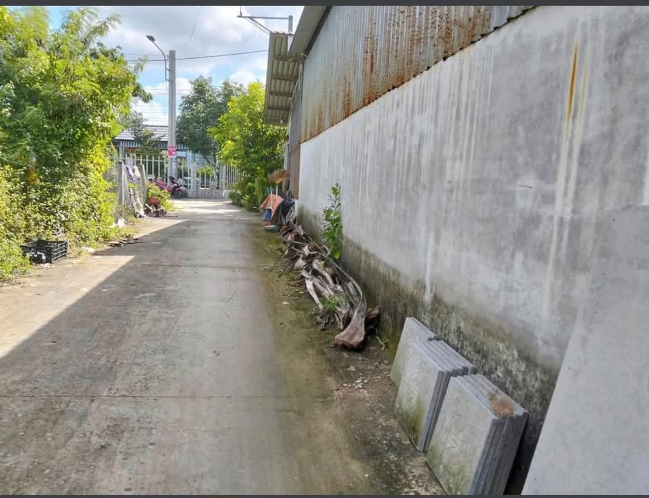 Đất nền phường Mỹ Phong, TP. Mỹ Tho 102m² giá chỉ 800 triệu - Vị trí vàng, cơ hội đầu tư hiếm có!