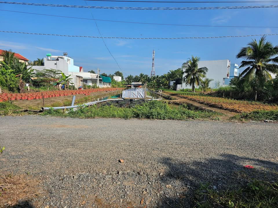 Bán đất mặt tiền đường Trần Thị Thơm, phường 9, TP. Mỹ Tho - Diện tích lớn 1399m², giá chỉ 4.3 tỷ!
