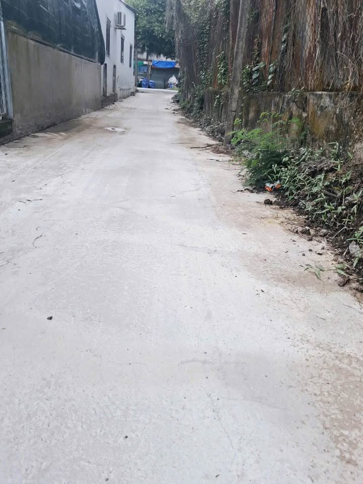 Đất nền Phường Trung An, Mỹ Tho 65m² giá 700 triệu - Vị trí đẹp, thuận lợi đầu tư!