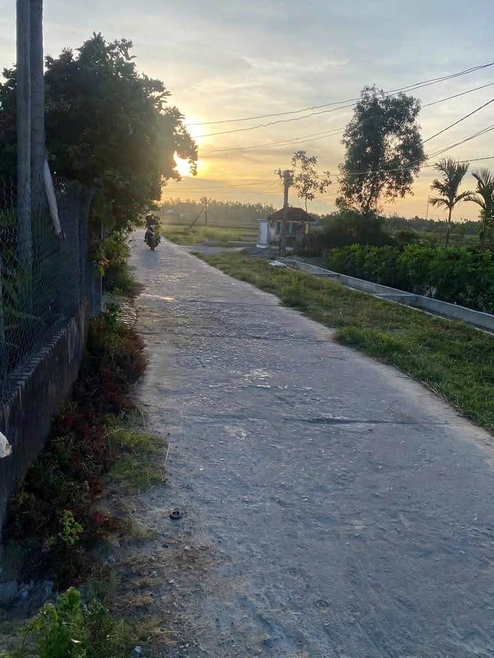 Đất nền Tam Xuân II, Núi Thành 105m² giá 300 triệu - Sổ hồng riêng, công chứng ngay!