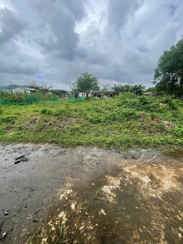 Đất nền Quế Sơn 150m² giá 200 triệu - Cơ hội đầu tư tuyệt vời!