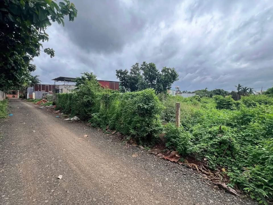 Đất nền thôn 6, xã Ea M'nang 3600m² giá 1,2 tỷ - Cơ hội đầu tư sinh lời!