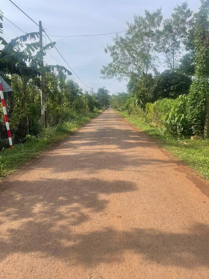 Đất nền Cư Bao, Krông Pắc - 60m² giá 395 triệu - Mặt tiền đường nhựa rộng 10m!