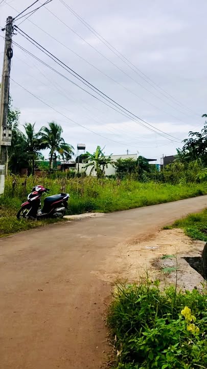 Đất nền Hòa An, Krông Pắc 196m² - Hướng Bắc, giá thỏa thuận hấp dẫn!