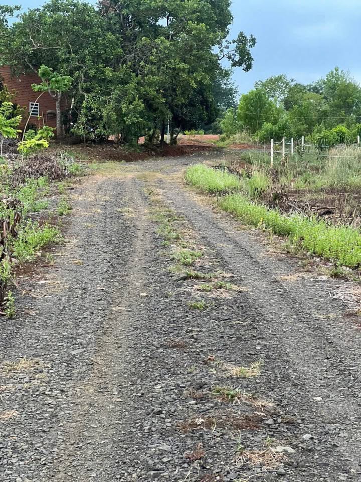 Đất nền Đồng Tiến, Đồng Phú 2300m² giá chỉ 290 triệu - Cơ hội đầu tư tuyệt vời!