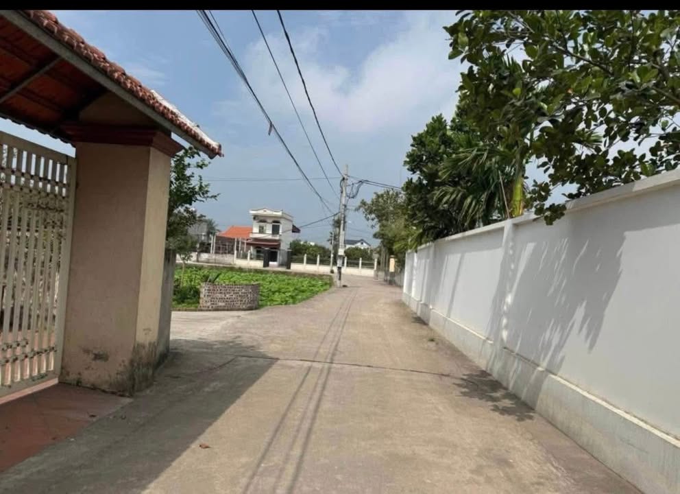 Đất thổ cư 65m² tại Thái Tân, Nam Sách - Giá chỉ 800 triệu - Đường to ô tô tránh nhau!