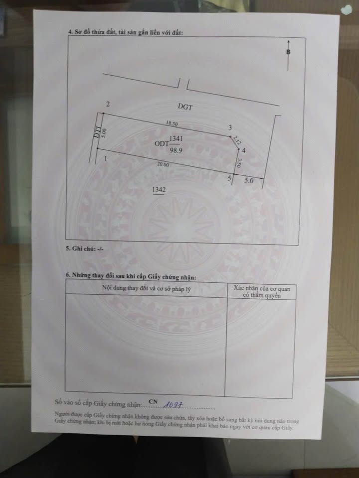 Đất nền Trần Lãm, Thái Bình 100m² giá 800 triệu - Sổ đỏ chính chủ, đầu tư sinh lợi