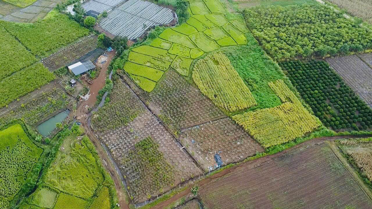 Đất nền 20.000m² xã Ea Bar, huyện Buôn Đôn - Giá chỉ 795 triệu, cơ hội đầu tư hiếm có!